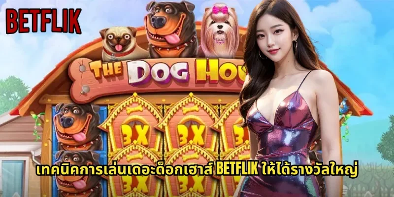 เทคนิคการเล่นเดอะด็อกเฮาส์ BETFLIK ให้ได้รางวัลใหญ่